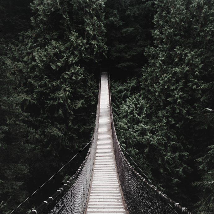 Image d'un pont qui symbolise le partenariat créé entre les parties